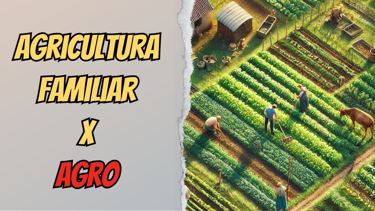 Agro x Agricultura familiar