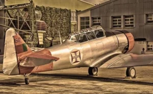 A Contribuição do Vasco da Gama na Segunda Guerra Mundial e a Doação de Aviões à FAB