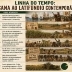 O Ciclo do Açúcar e a Formação do Latifúndio: por que a terra no Brasil é concentrada desde 1530?